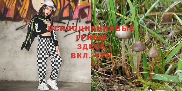 мескалин Кинешма