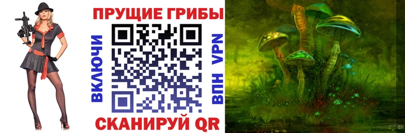 Купить закладки  Ирбит  Псилоцибиновые грибы прущие грибы 